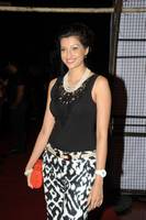 Hamsa Nandhini at Attarintiki Daaredi Audio